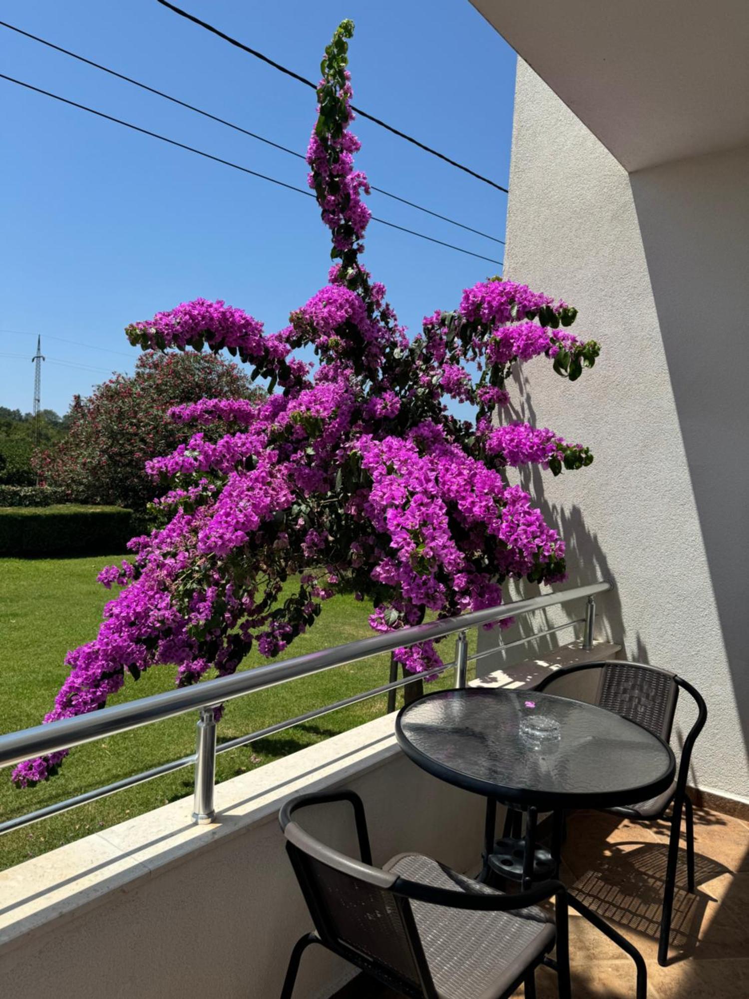 Sunrise House Apartments Ülgün Dış mekan fotoğraf
